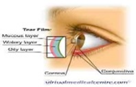 Eye - Tear Film